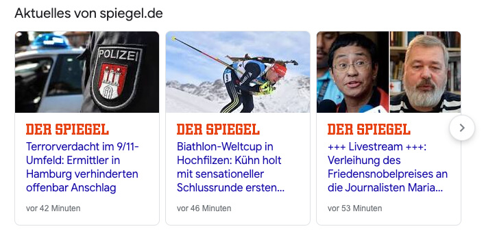 Der Spiegel-Beiträge aus der Google Suchmaschine