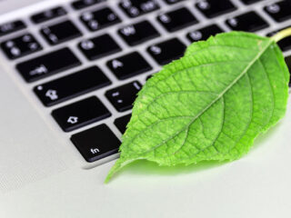 Green Marketing im Online-Marketing: Nachhaltige Strategien digital umsetzen