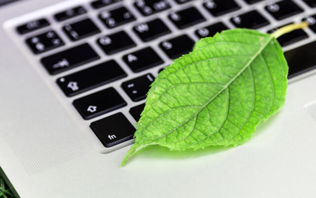 Grünes Blatt auf Gras liegendem, silbernem Laptop-Tastaturfeld